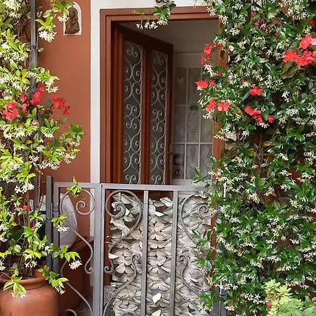 Apartamento Center N°12 *